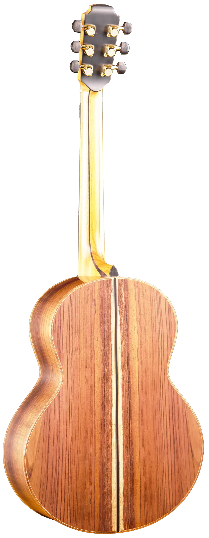 50 Guatemalan Rosewood