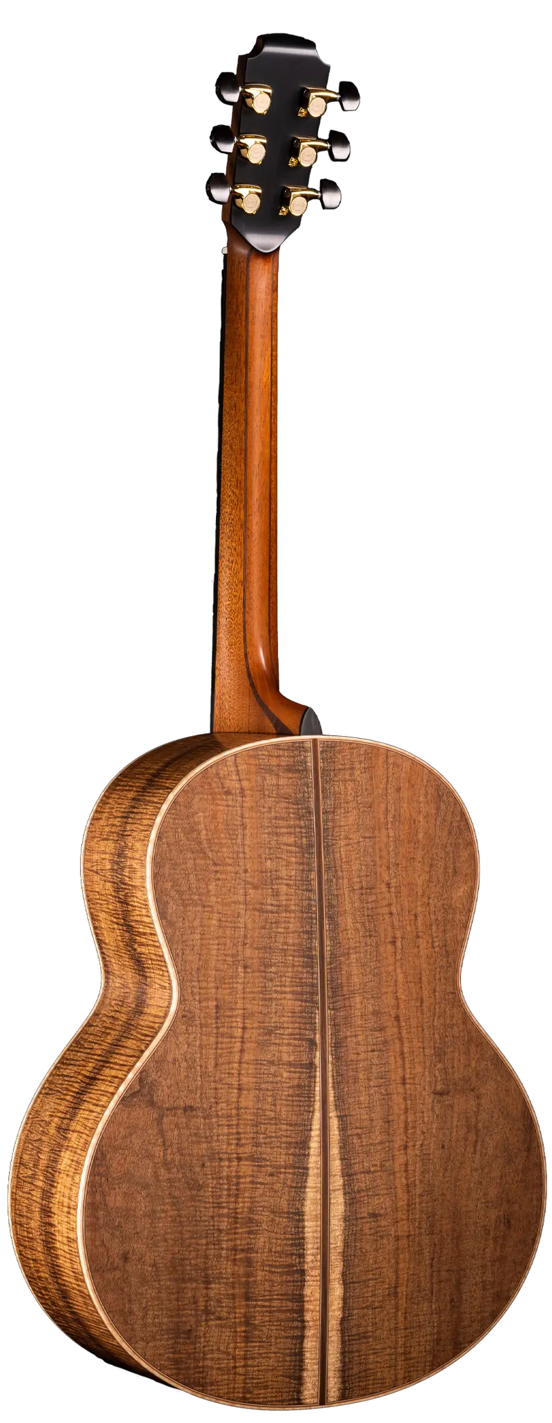 50 Tasmanian Blackwood