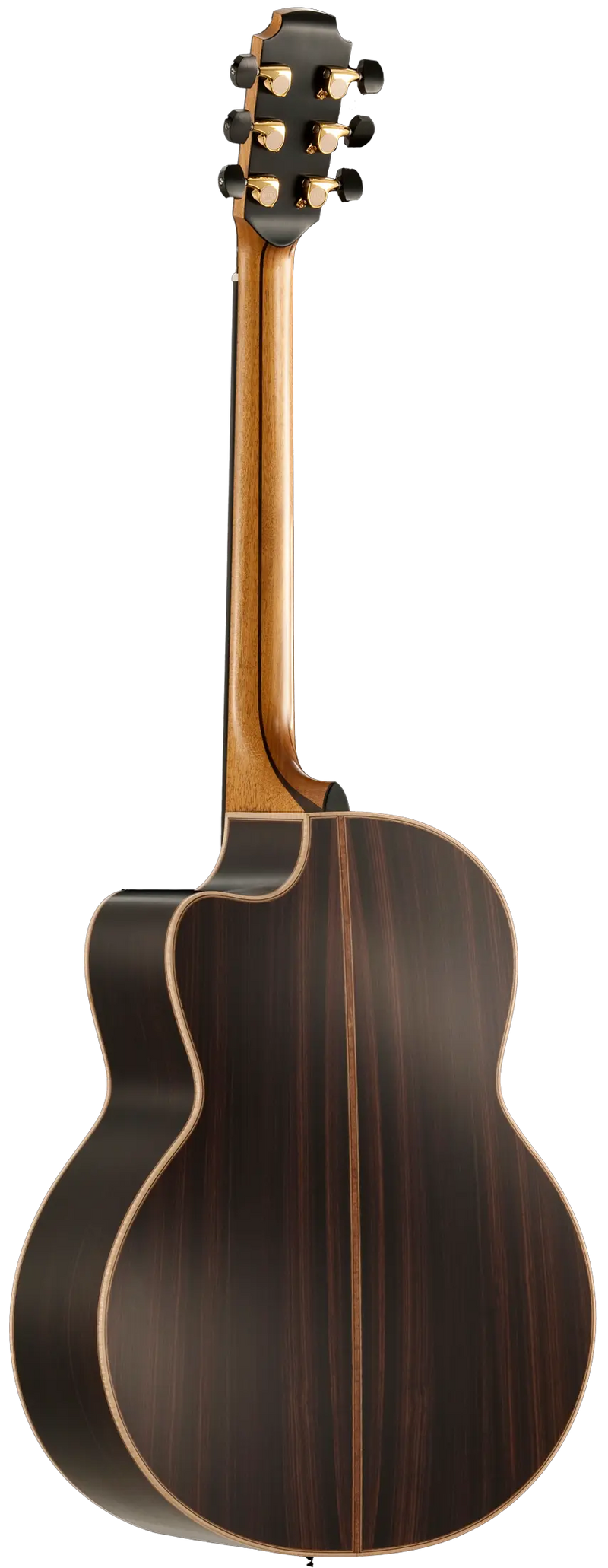 50 Indian Rosewood