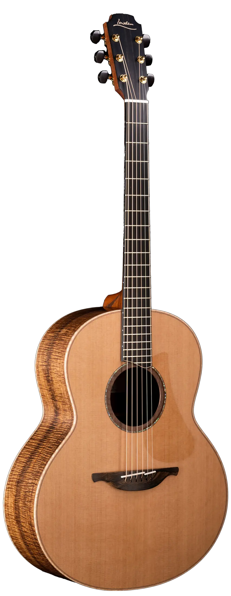 50 Tasmanian Blackwood