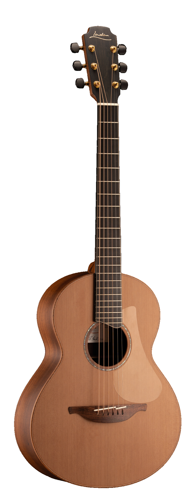 50 Guatemalan Rosewood