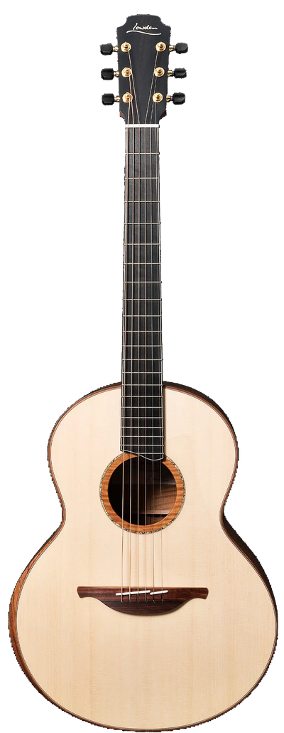 50 Madagascan Rosewood