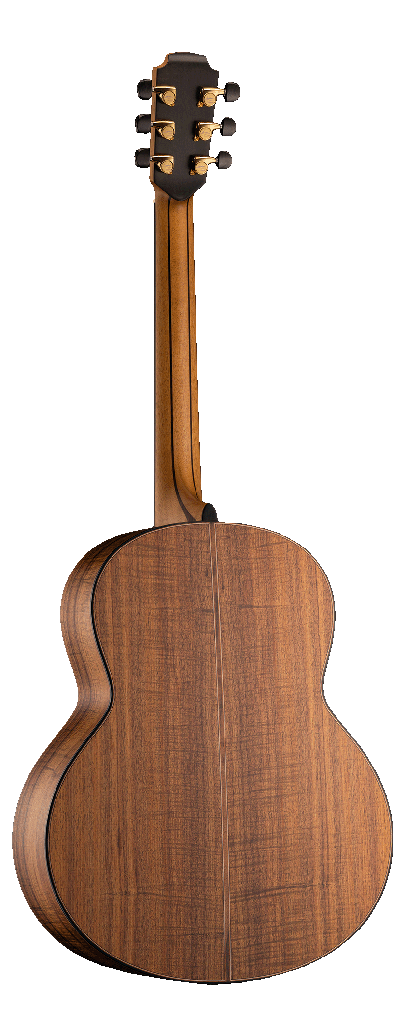 50 Tasmanian Blackwood