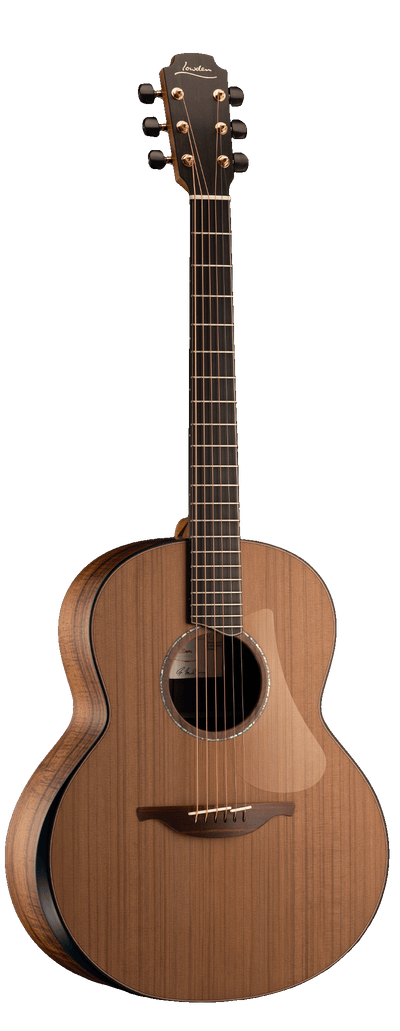 50 Tasmanian Blackwood