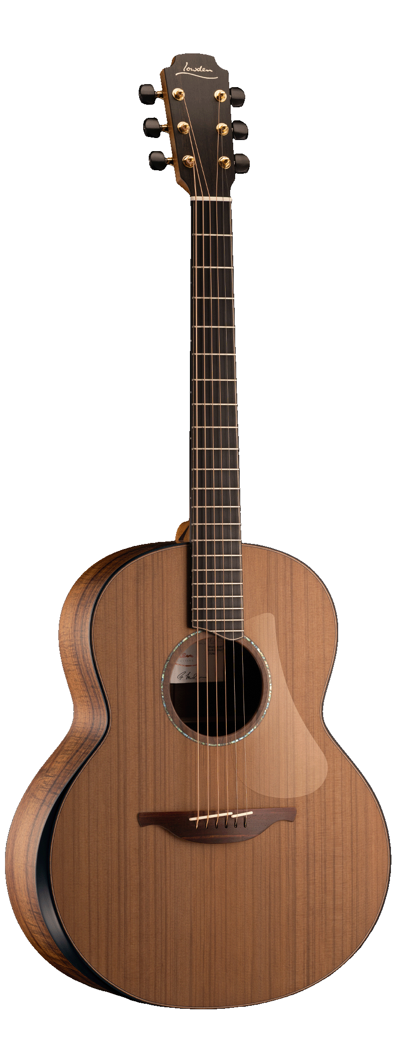 50 Tasmanian Blackwood