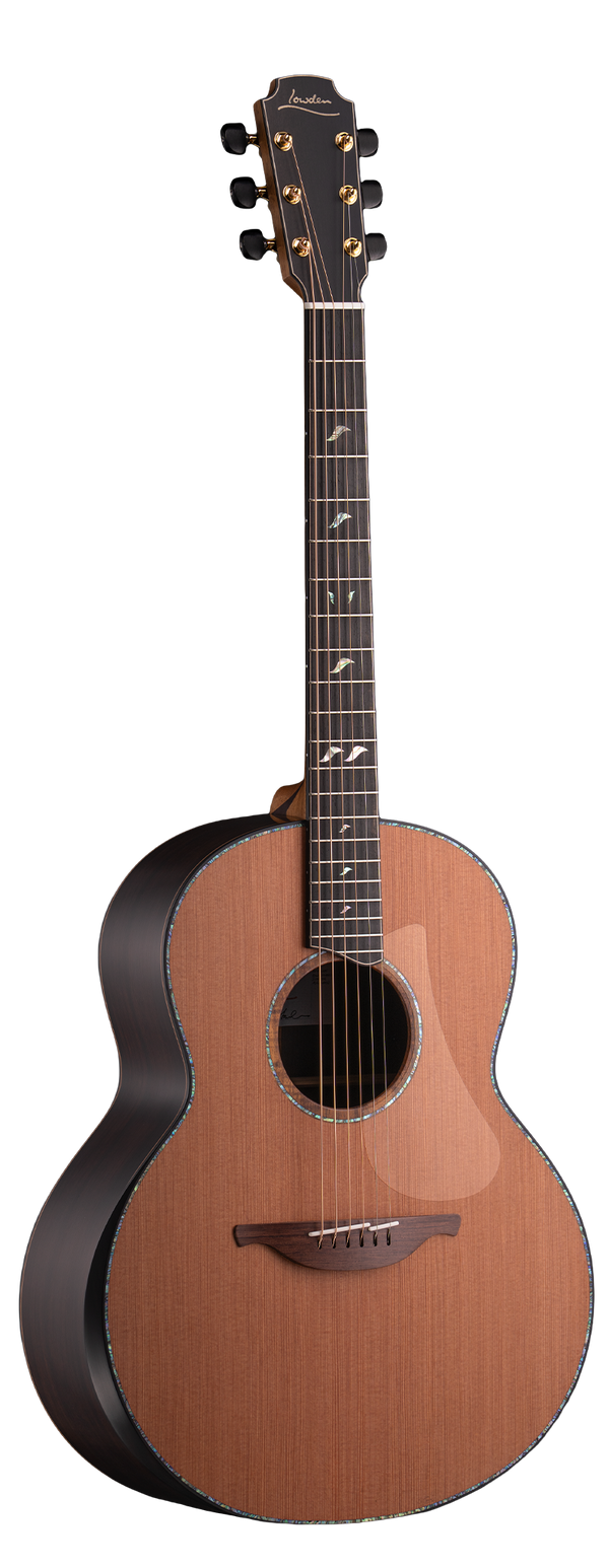 F-50 (28851)