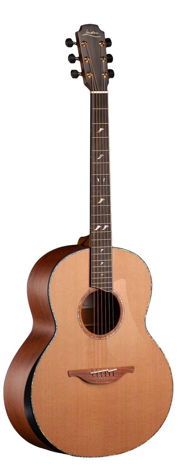 F-50 (27288)
