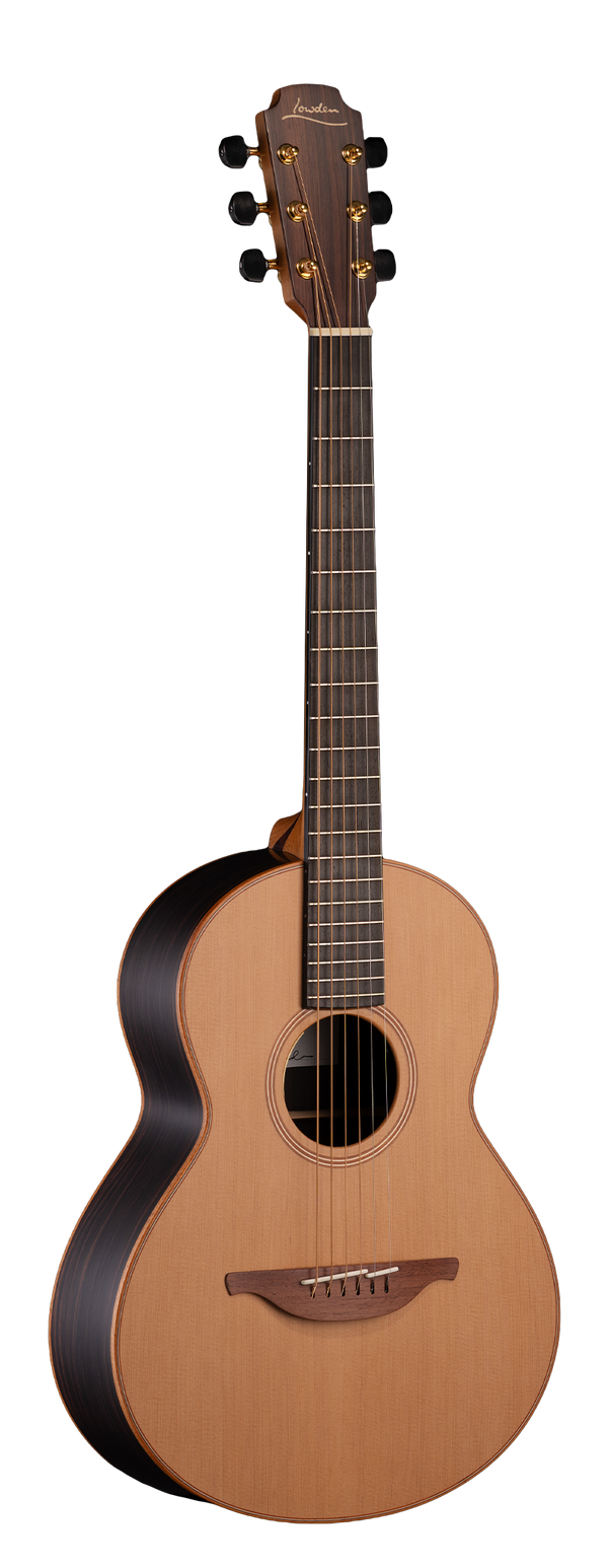 WL-25 (27999)