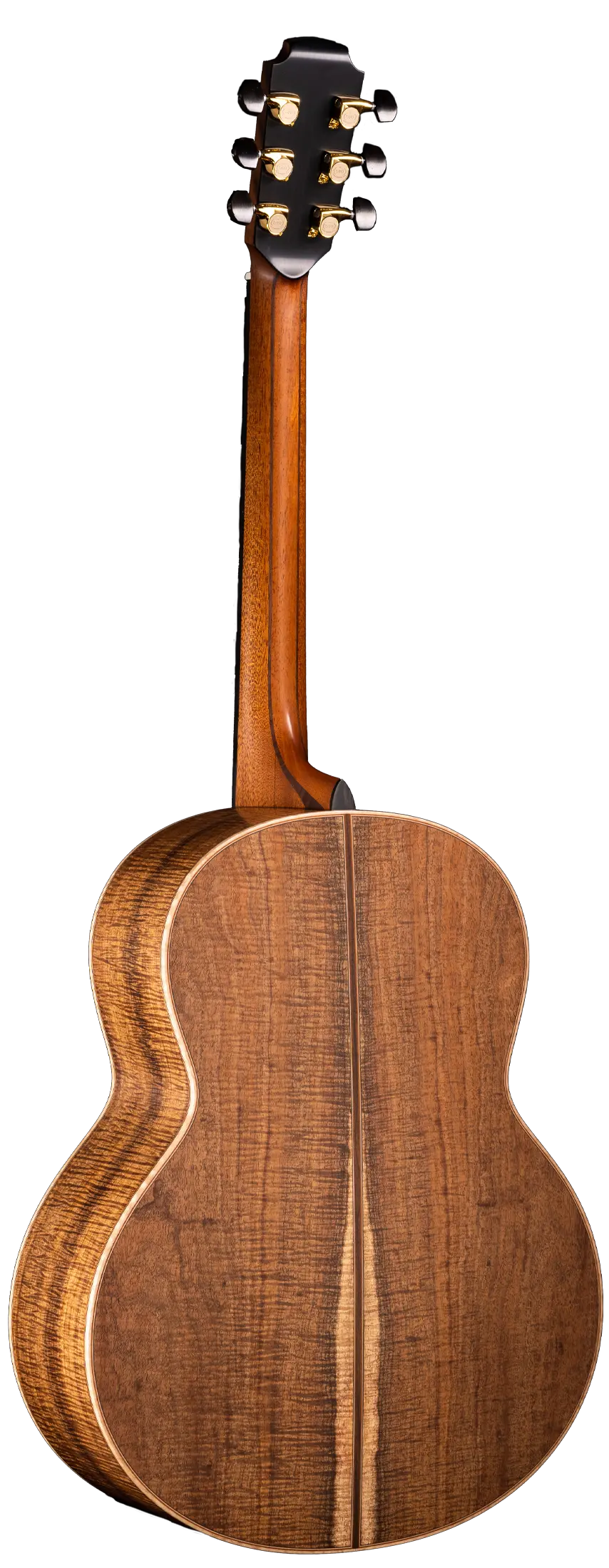 50 Tasmanian Blackwood