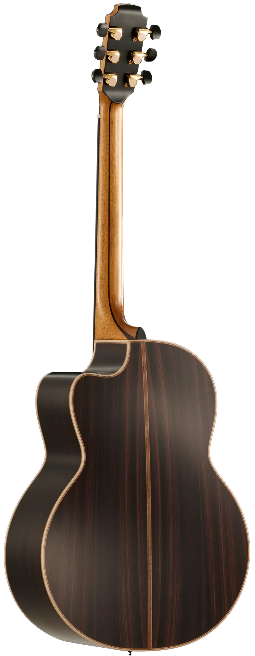 50 Indian Rosewood