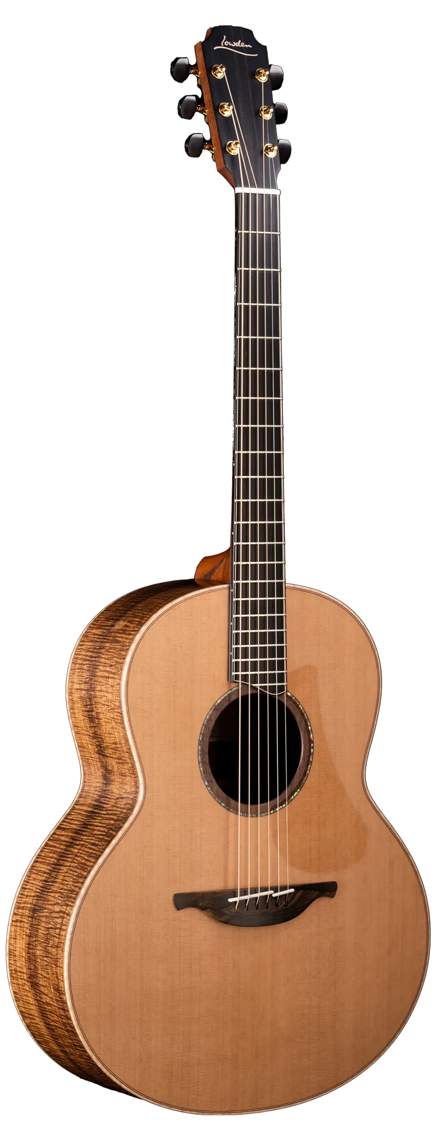 50 Tasmanian Blackwood