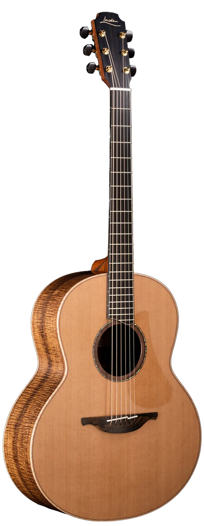 50 Tasmanian Blackwood